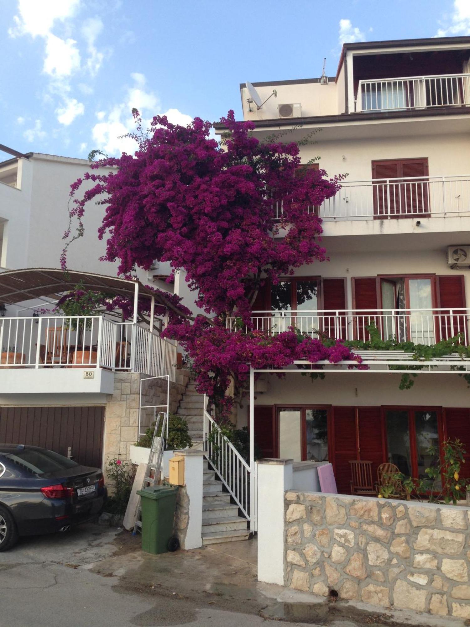 Apartment Duda Hvar Town Esterno foto